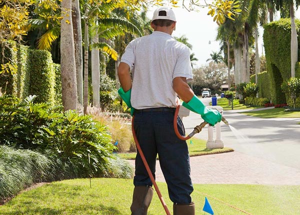 About Lyons IL Pest Control